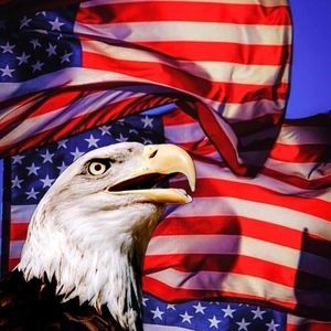 Meet your Posher, Carlos